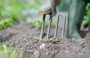 fork-in-soil-greenmaster-lawn-care