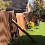 The fence before