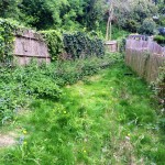 The back garden before...