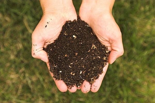 Start Your Compost