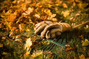 Autumn-Gardening