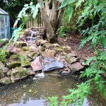 the pond cleaned out