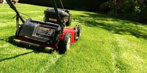 mower2