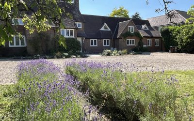 Pound Lane – The Driveway